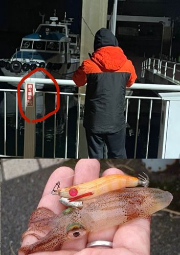 千葉港中央埠頭