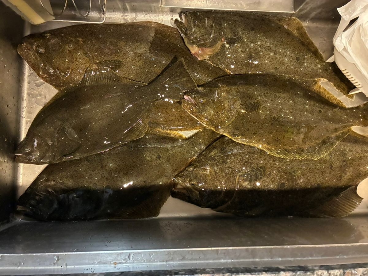 キマグレアングラー01さんの釣果 2枚目の画像