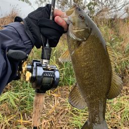 スモールマウスバス