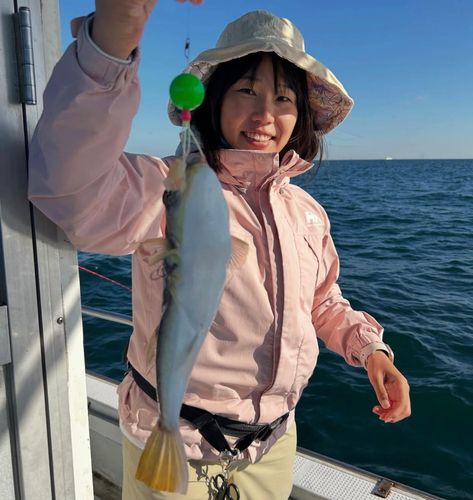 ショウサイフグの釣果