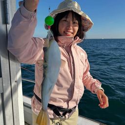 ショウサイフグ