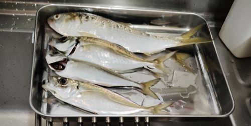 大黒海づり施設