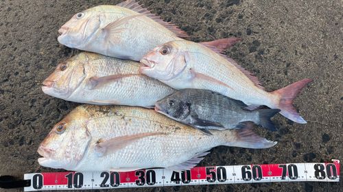 釜谷浜海水浴場