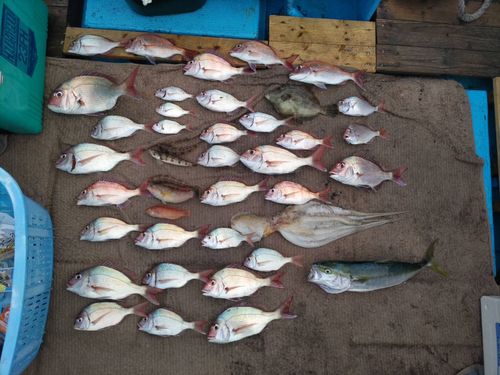 釣果