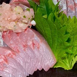 ヒレナガカンパチ