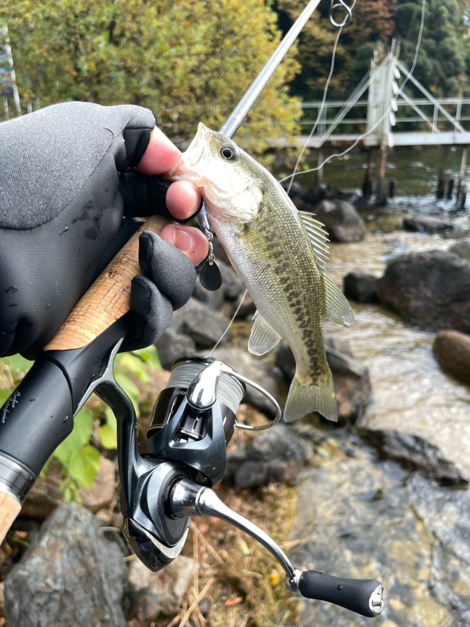 BLACK KAZU さんの 2025年11月25日のブラックバスの釣り・釣果情報