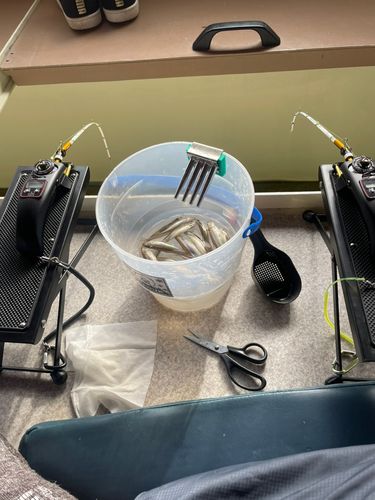 野尻湖（長野）