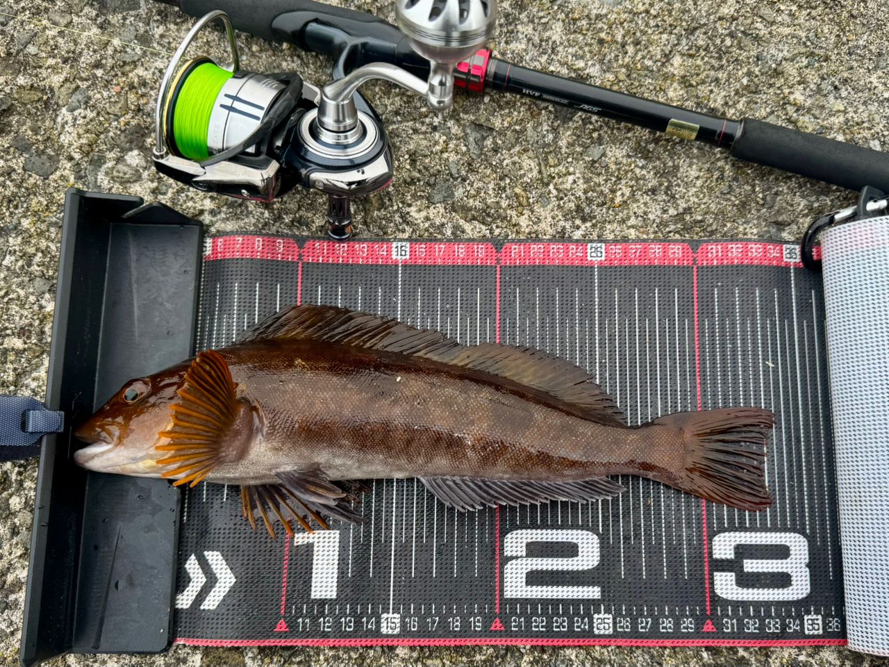 DAIWA 19HRF® (ハードロックフィッシュ) AGS 96M/MHの最安値・インプレ