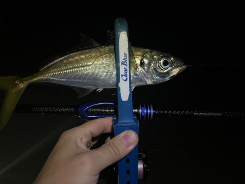 東京湾（アクアライン〜富津）