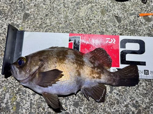 小湊漁港（青森）