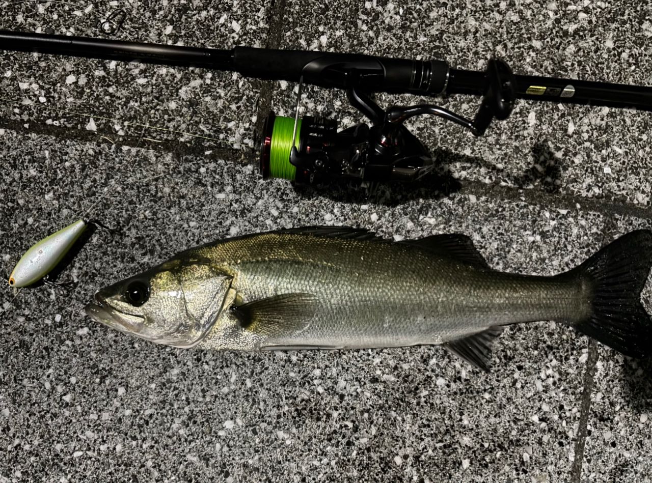 SHIMANO 23ディアルーナ S96Mの最安値・インプレ・釣果 | 本音の口コミ