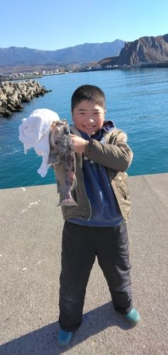 クロガシラガレイの釣果