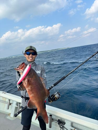 アカジンミーバイの釣果