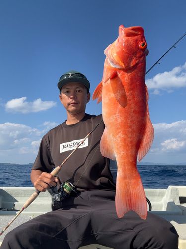 アカジンミーバイの釣果