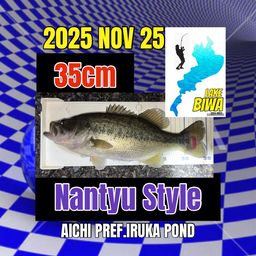 ラージマウスバス