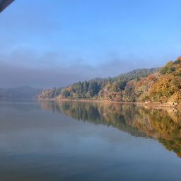 ラージマウスバス