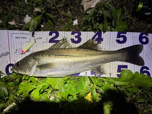 那珂川（茨城〜栃木）