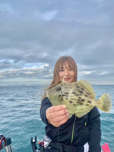 カワハギの釣果