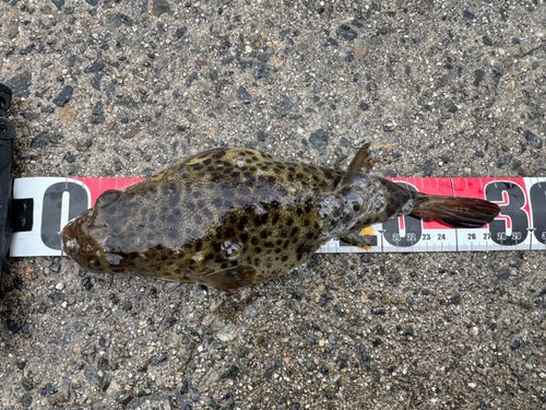 平磯海づり公園