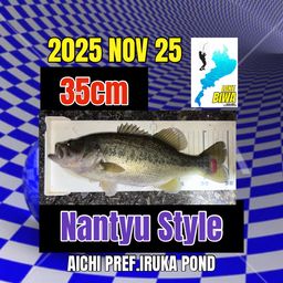 ラージマウスバス