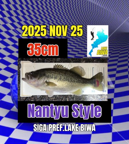 ラージマウスバスの釣果