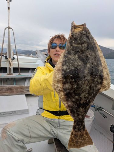 ヒラメの釣果