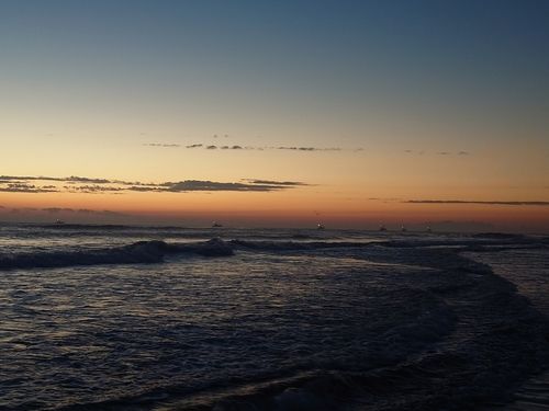 シタビラメの釣果