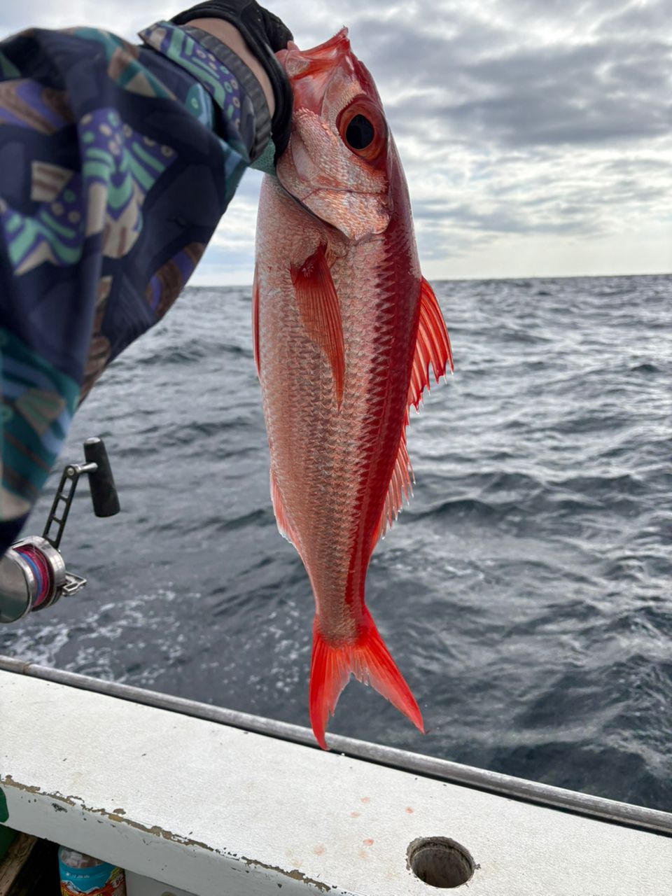 もりもりさんの釣果 2枚目の画像