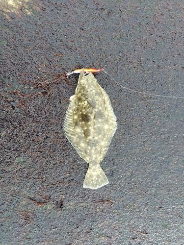 網代浜海水浴場