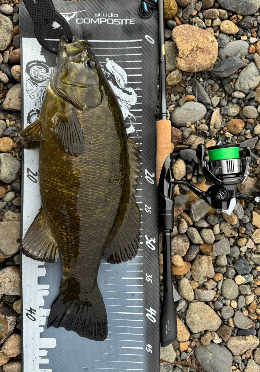 SHIMANO 23ヴァンキッシュ C2500SXGの最安値・インプレ・釣果 | 本音の