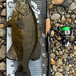 スモールマウスバス