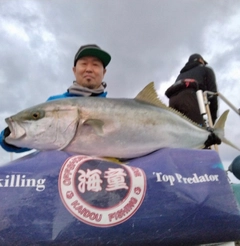 ヒラマサの釣果