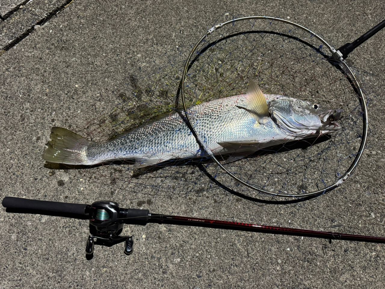 SHIMANO 21スコーピオン DC 150XG RIGHTの最安値・インプレ・釣果