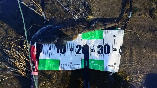 馬入ふれあい公園