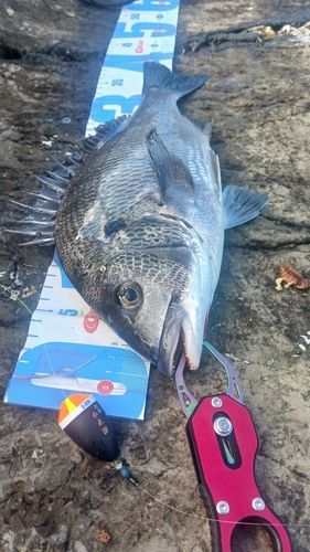 サザンビーチ付近