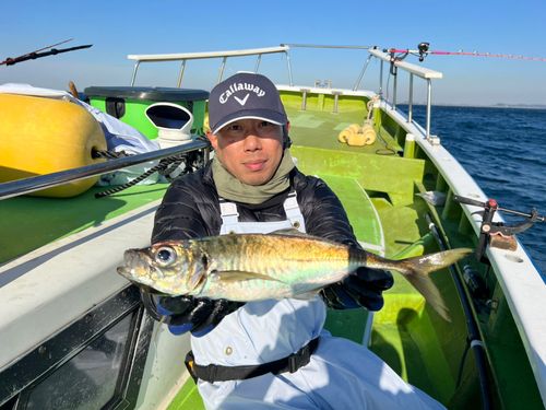 マアジの釣果