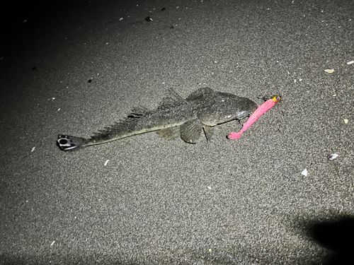 新舞子海岸（富津）