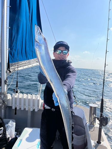 タチウオの釣果