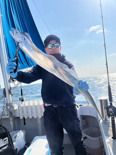 タチウオの釣果