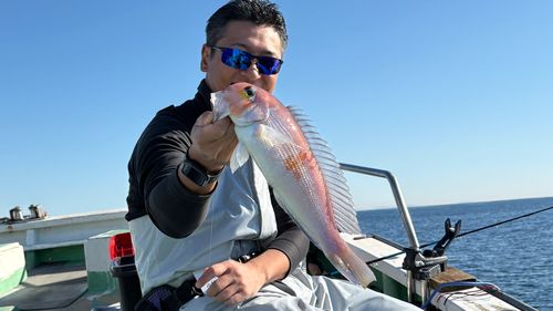 アカアマダイの釣果