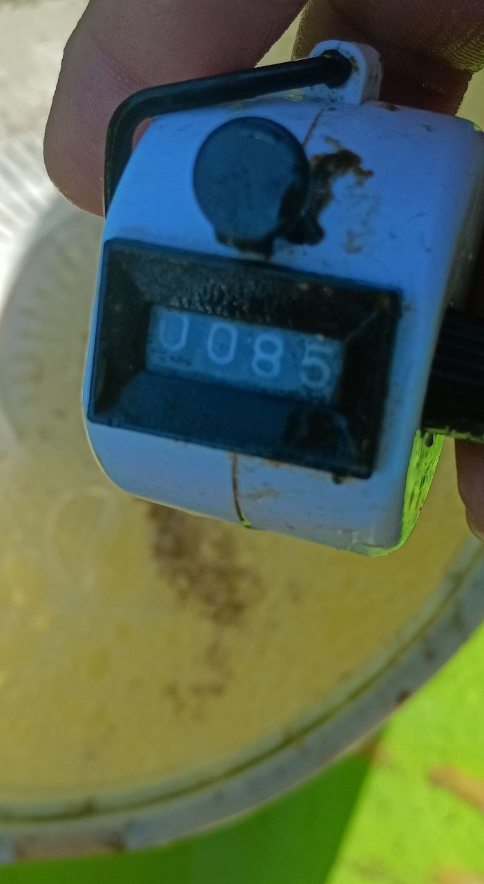 さっちゃん@柴犬さんの釣果 3枚目の画像