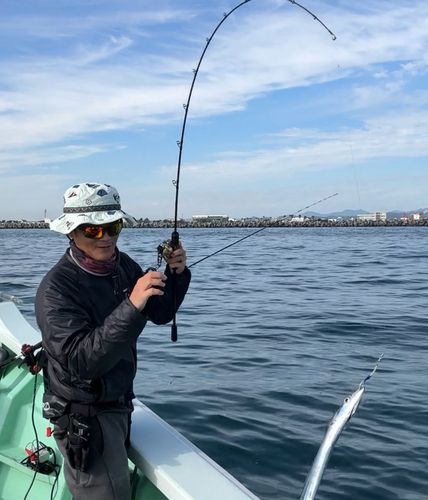 タチウオの釣果