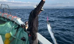 タチウオの釣果