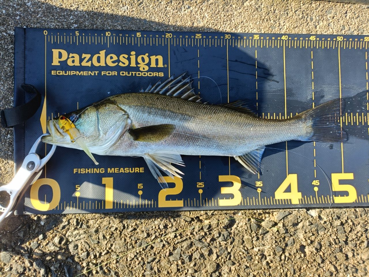 SHIMANO 18ディアルーナ S86MLの最安値・インプレ・釣果 | 本音の