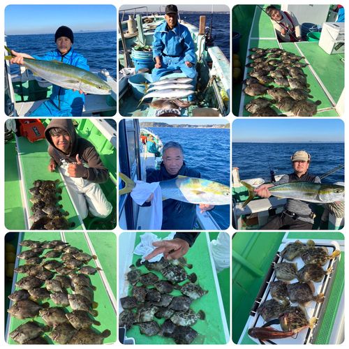 カワハギの釣果