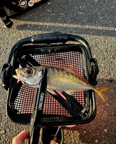 小名浜港アクアマリンふくしま周辺