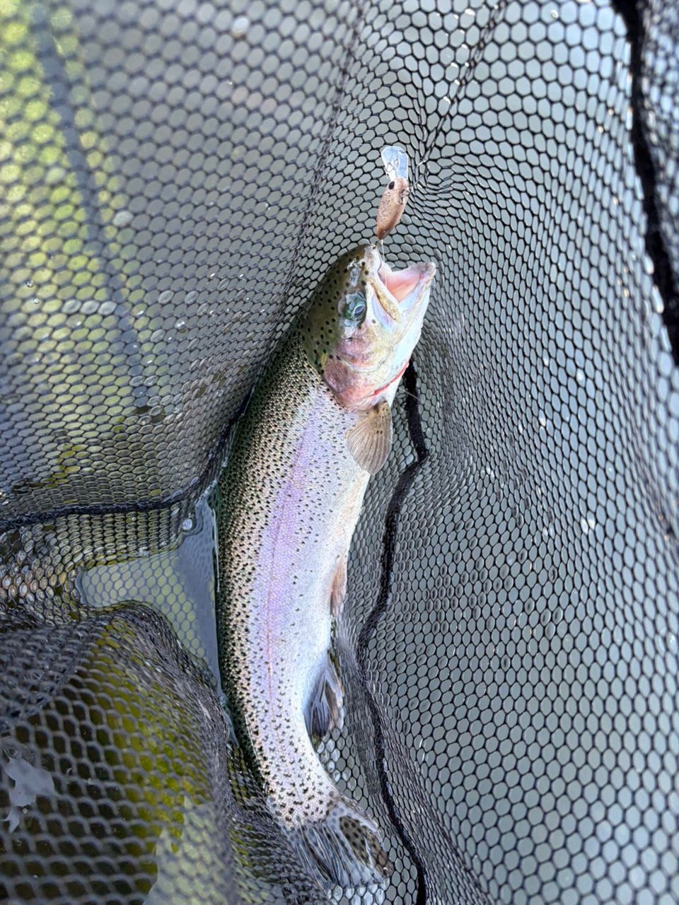 MajorCraft 新ファインテール エリア FAX-S5102ULの最安値・インプレ