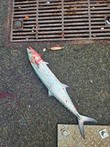 鞠山海遊パーク