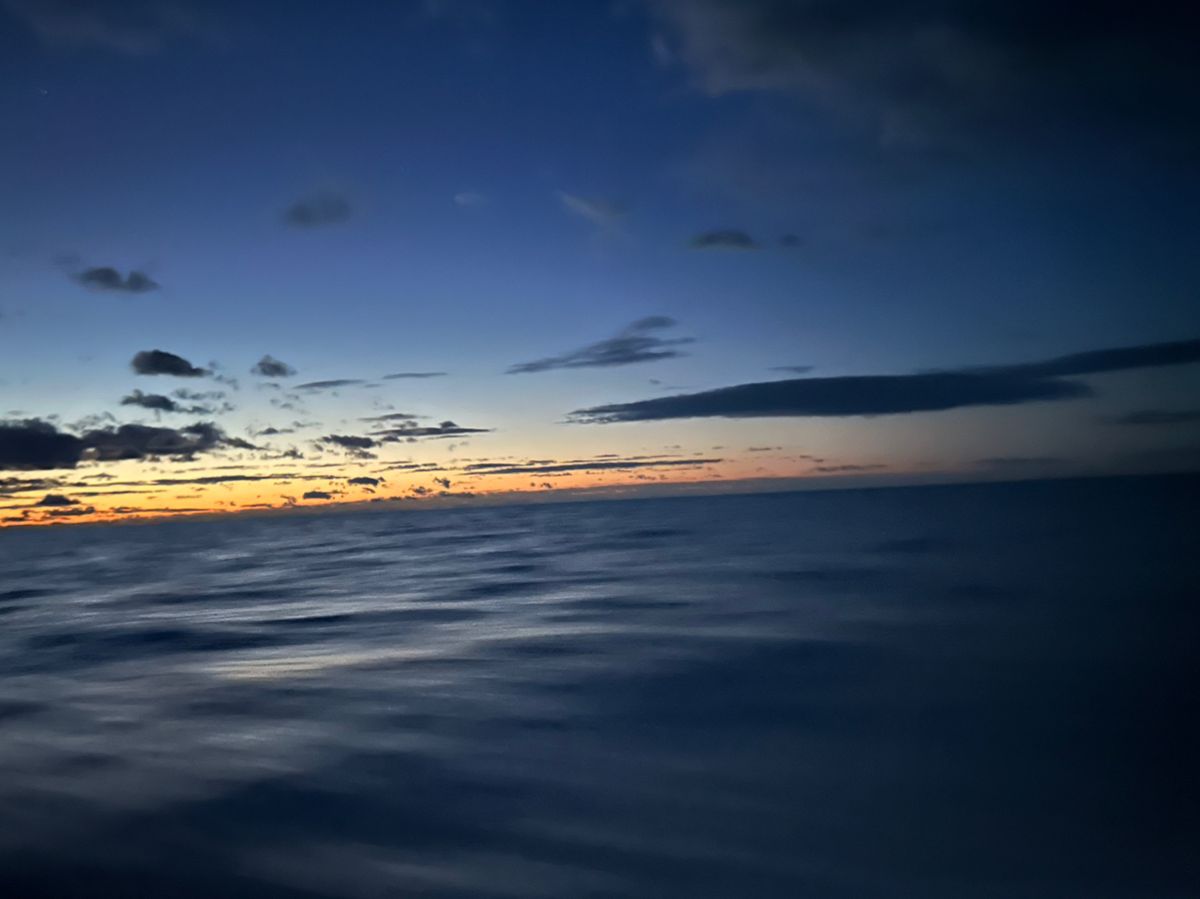 禰󠄀豆子さんの釣果 1枚目の画像