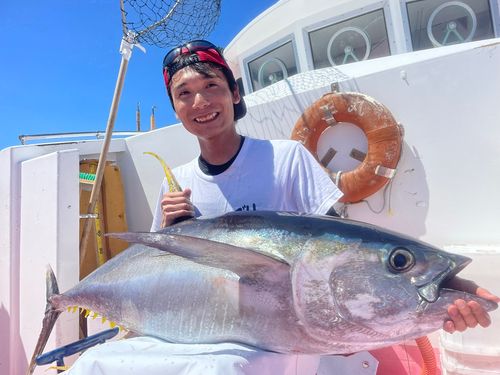 キハダマグロの釣果